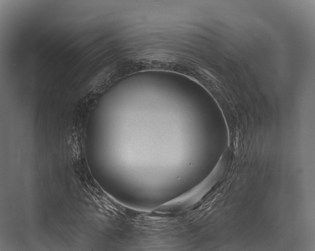 X0000076310774200610061329