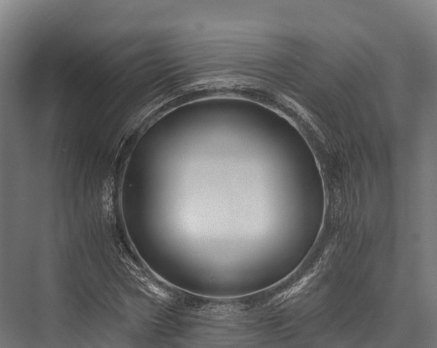 X0000076310778200610061329
