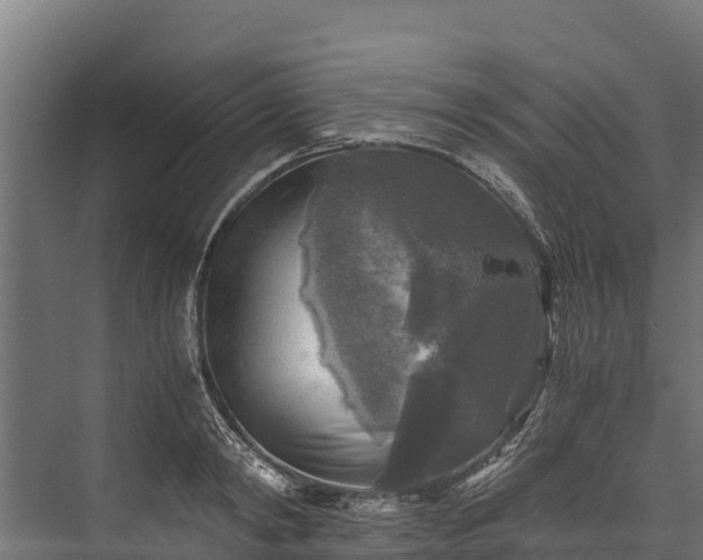X0000076310798200610061329