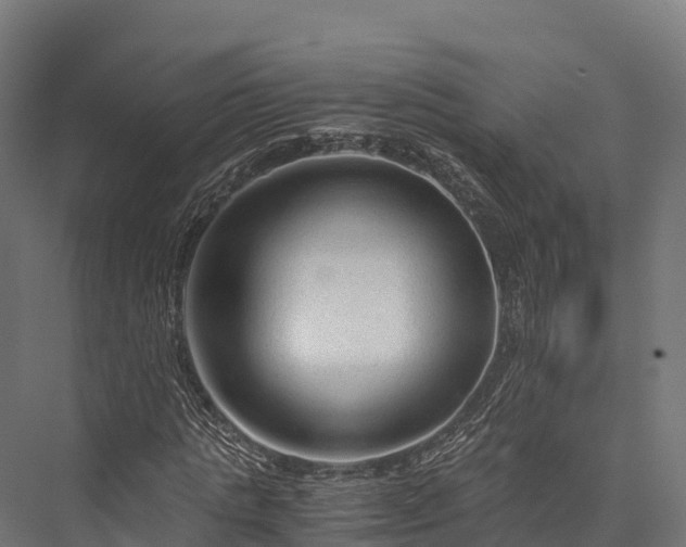 X0000076310821200610061328
