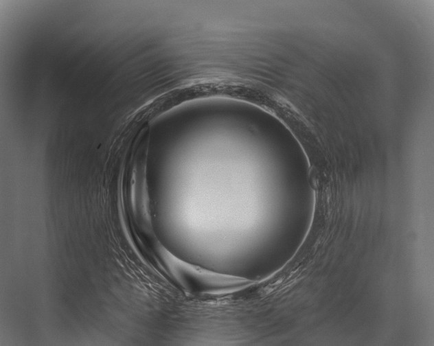 X0000076310822200610061328
