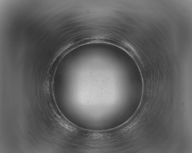 X0000076310827200610061328