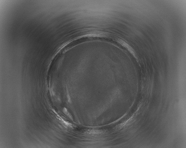 X0000076310829200610061328