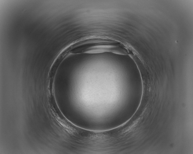 X0000076310830200610061328