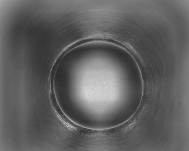 X0000076310838200610061328