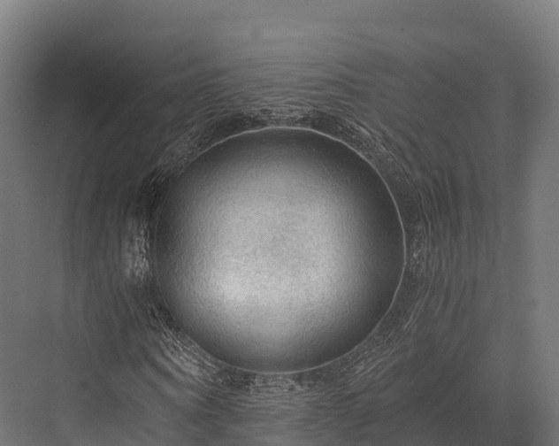 X0000076310866200610061327