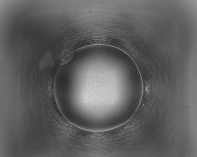 X0000076310867200610061327