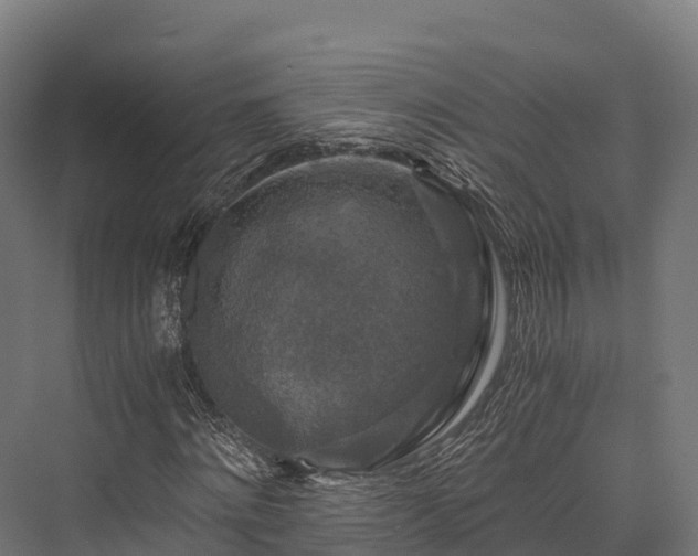 X0000076310868200610061327