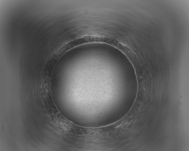 X0000076310870200610061327