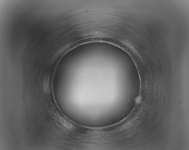 X0000076310873200610061327