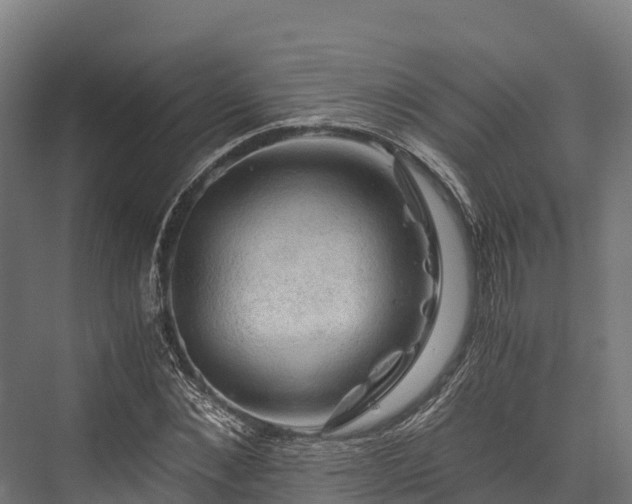 X0000076310876200610061327