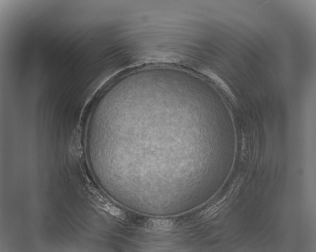 X0000076310878200610061327