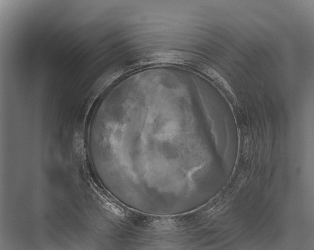 X0000076310882200610061327
