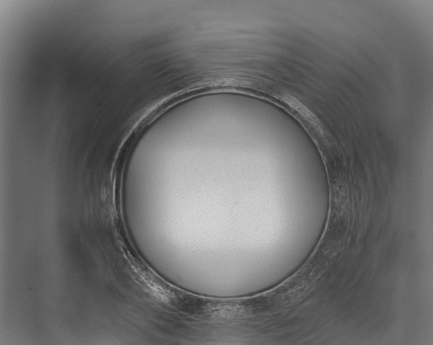 X0000076310886200610061327
