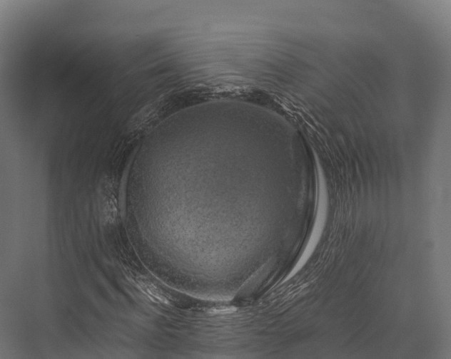 X0000076310916200610061326