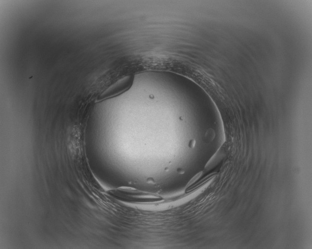 X0000076310964200610061326