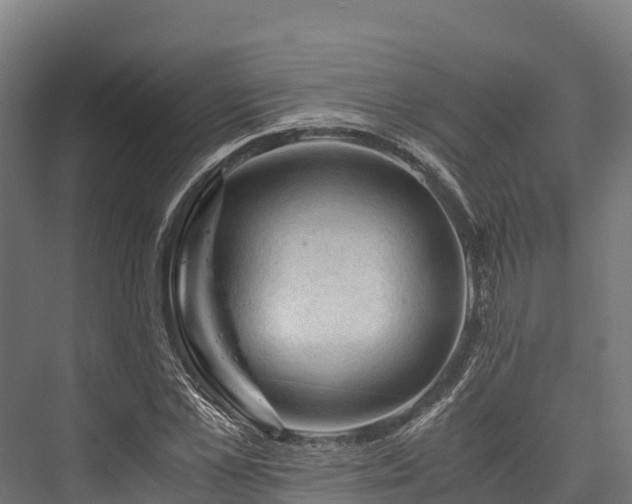 X0000076310973200610061326