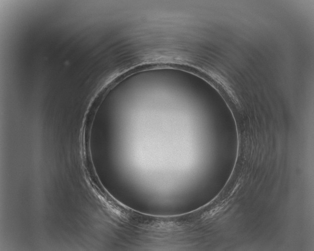 X0000076310982200610061325