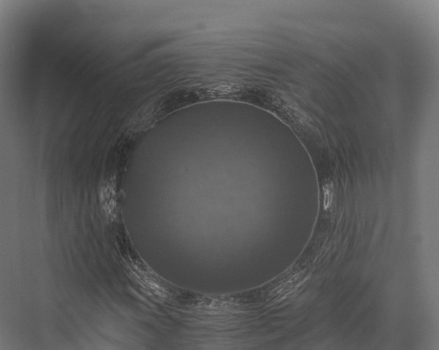 X0000076311011200610061324