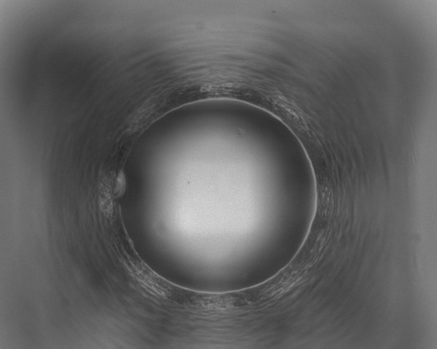 X0000076311012200610061324