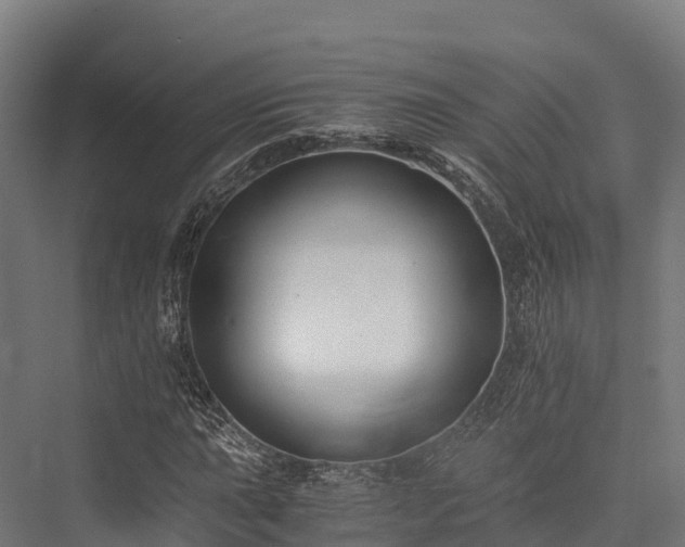 X0000076311015200610061324
