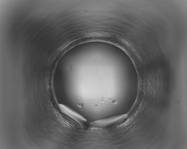 X0000076311017200610061324