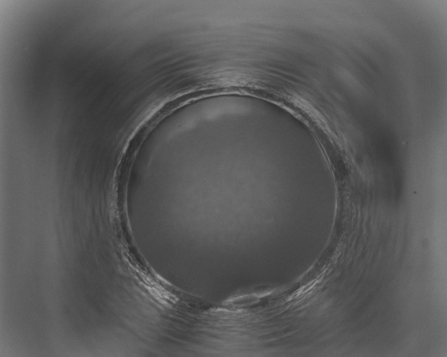 X0000076311023200610061324