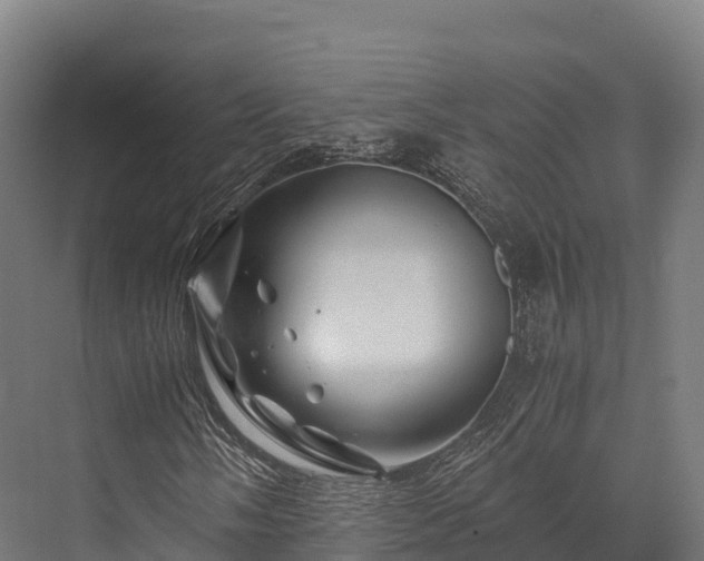 X0000076311058200610061324