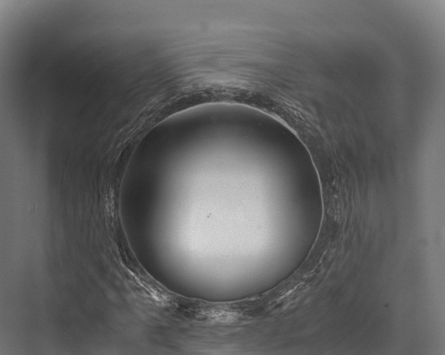 X0000076311061200610061324