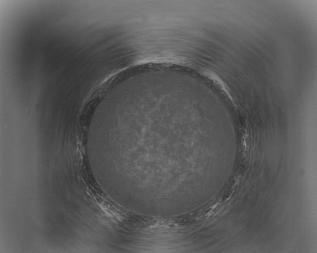 X0000076311064200610061324