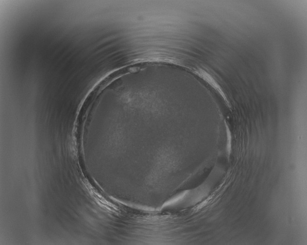 X0000076311068200610061324