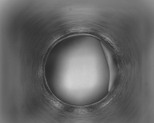 X0000076311073200610061324