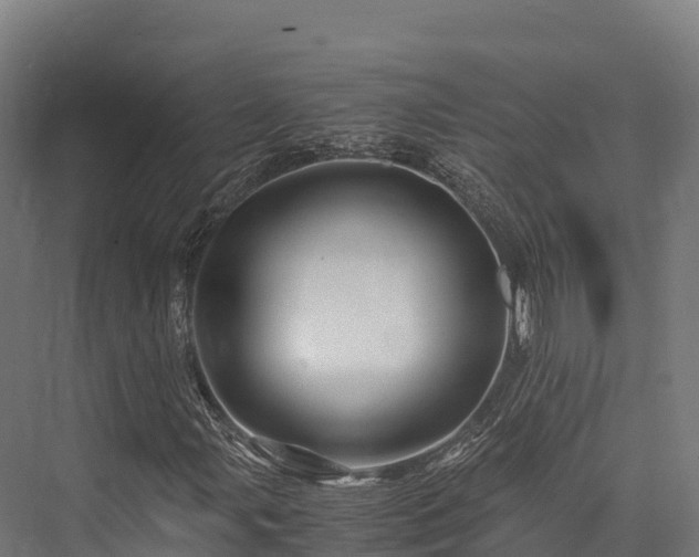 X0000076311107200610061323