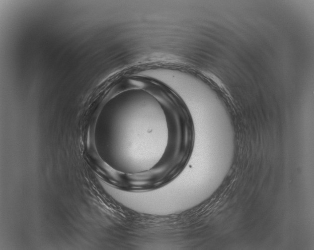 X0000076311112200610061323