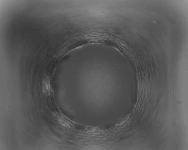 X0000076311155200610061323