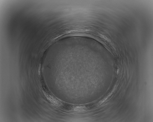 X0000076311161200610061322
