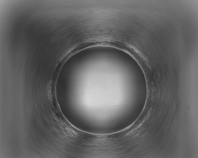 X0000076311162200610061322