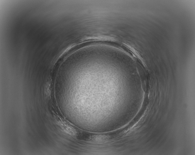 X0000076311163200610061322