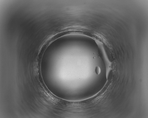 X0000076311164200610061322