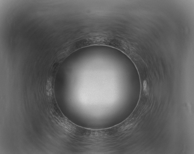 X0000076311203200610061321