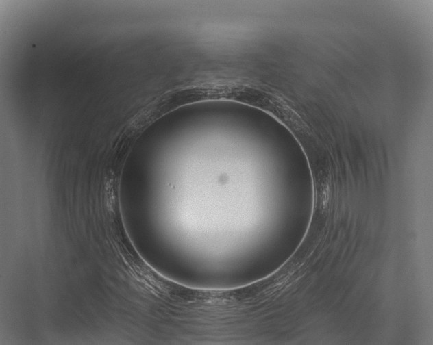 X0000076311204200610061321