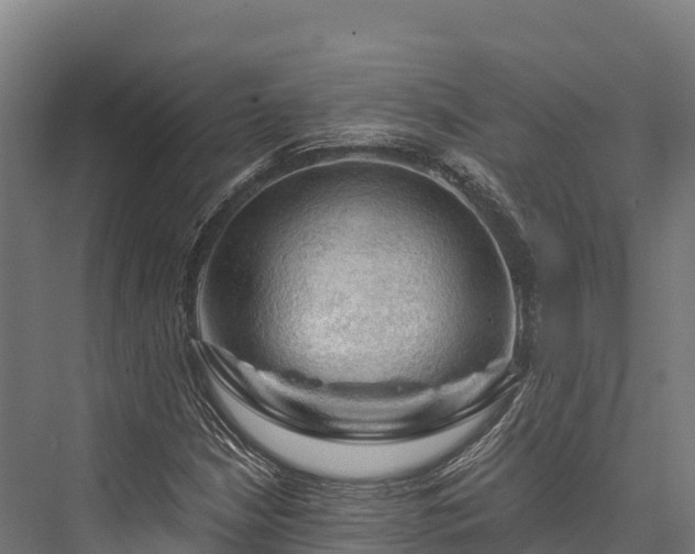 X0000076311210200610061321