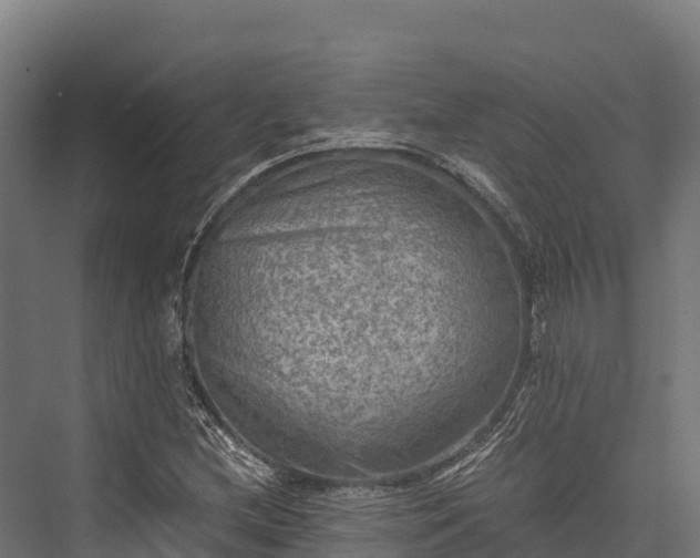 X0000076311212200610061321