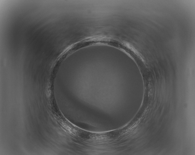 X0000076311213200610061321