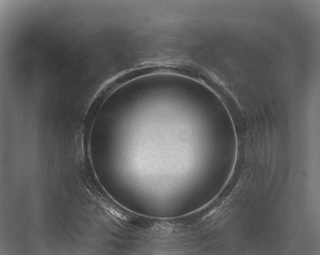 X0000076311214200610061321