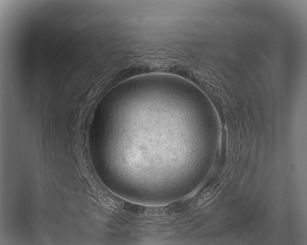 X0000076311249200610061321
