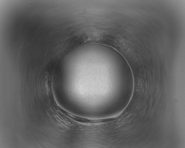 X0000076311250200610061321