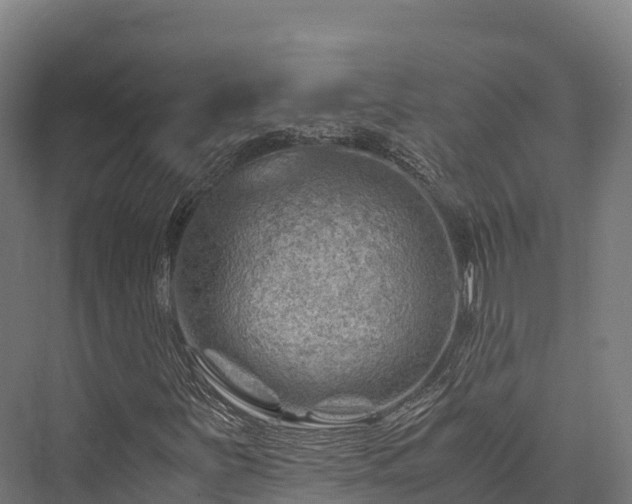 X0000076311251200610061321