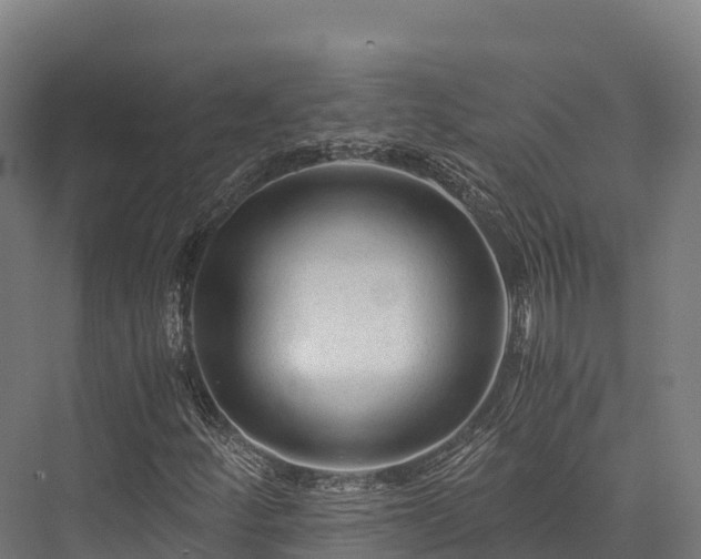 X0000076311252200610061321
