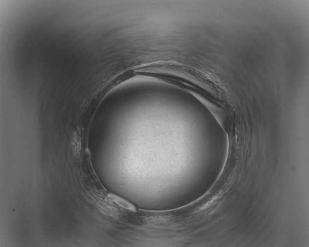 X0000076311257200610061321